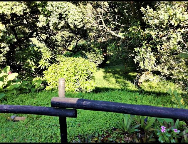 3 BEDROOM DUPLEX FOR SALE IN FREELAND PARK